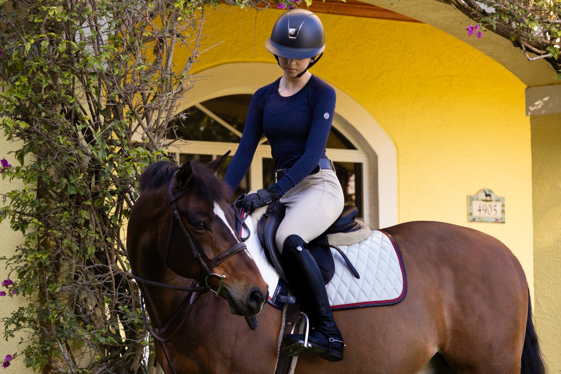 white saddle pad 