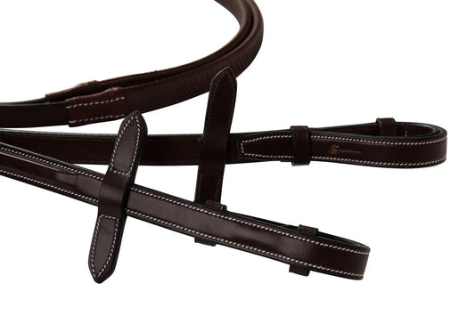 brown horse reins