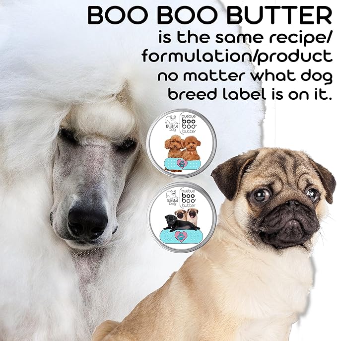 The Blissful Dog Cane Corso Boo Boo Butter, 1-Ounce