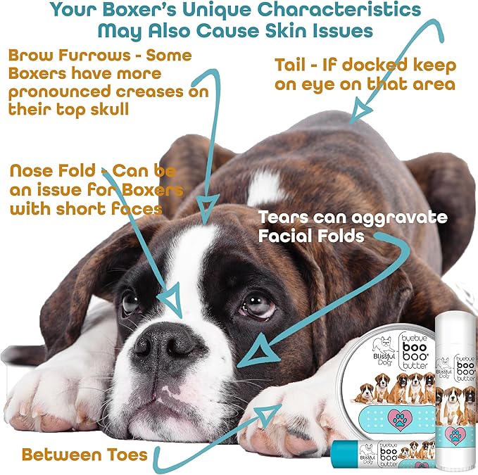 The Blissful Dog .15 oz Tube Boxer Booboo Butter