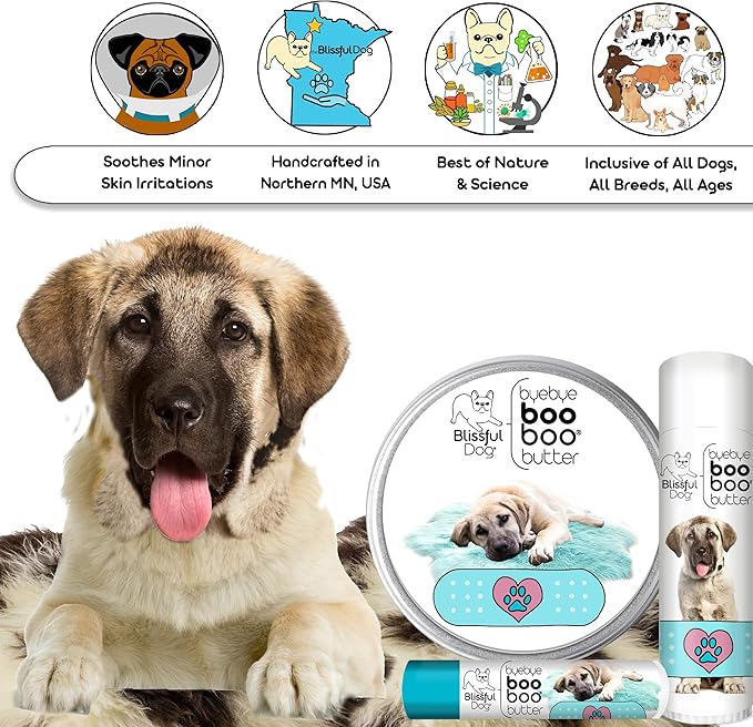 The Blissful Dog Anatolian Shepherd Boo Boo Butter, 8 Ounce