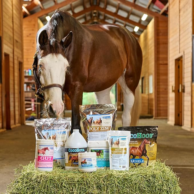 Uckele by SmartEquine Tendon EQ Pellets | Horse Muscle and Ligament Supplement for Horses | Encourages Resilient Tendons | Includes Glycine, Copper, Zinc, and More | 11.7 lb Bag