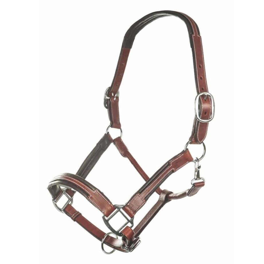 brown leather halter