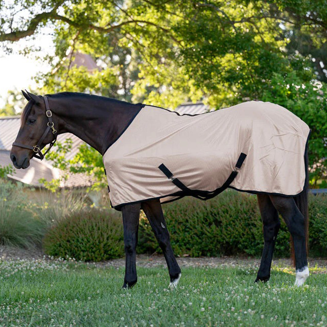 Horse wearing a beige fly sheet in a grassy area with trees.