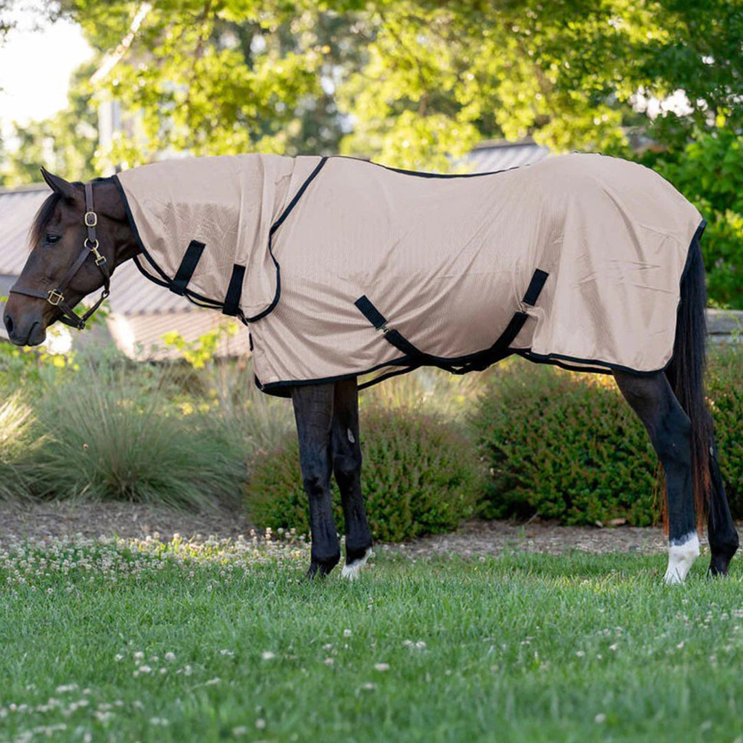Horse wearing a beige fly sheet in a grassy area with trees.