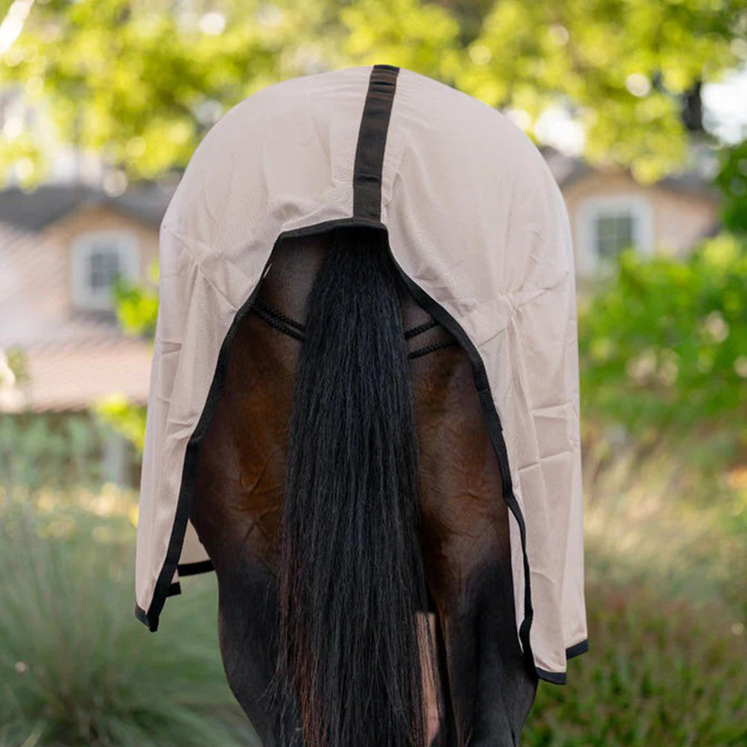 beige fly sheet