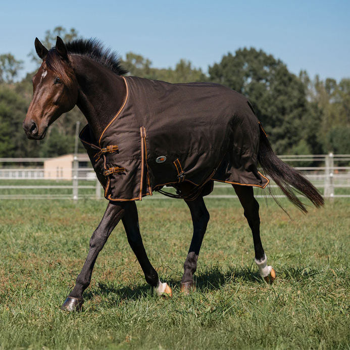 brown horse blanket