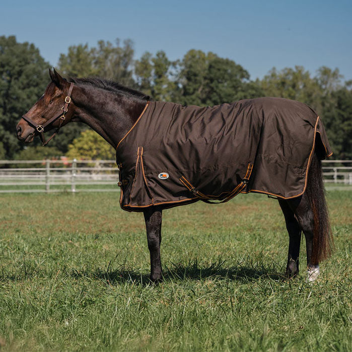 brown horse blanket