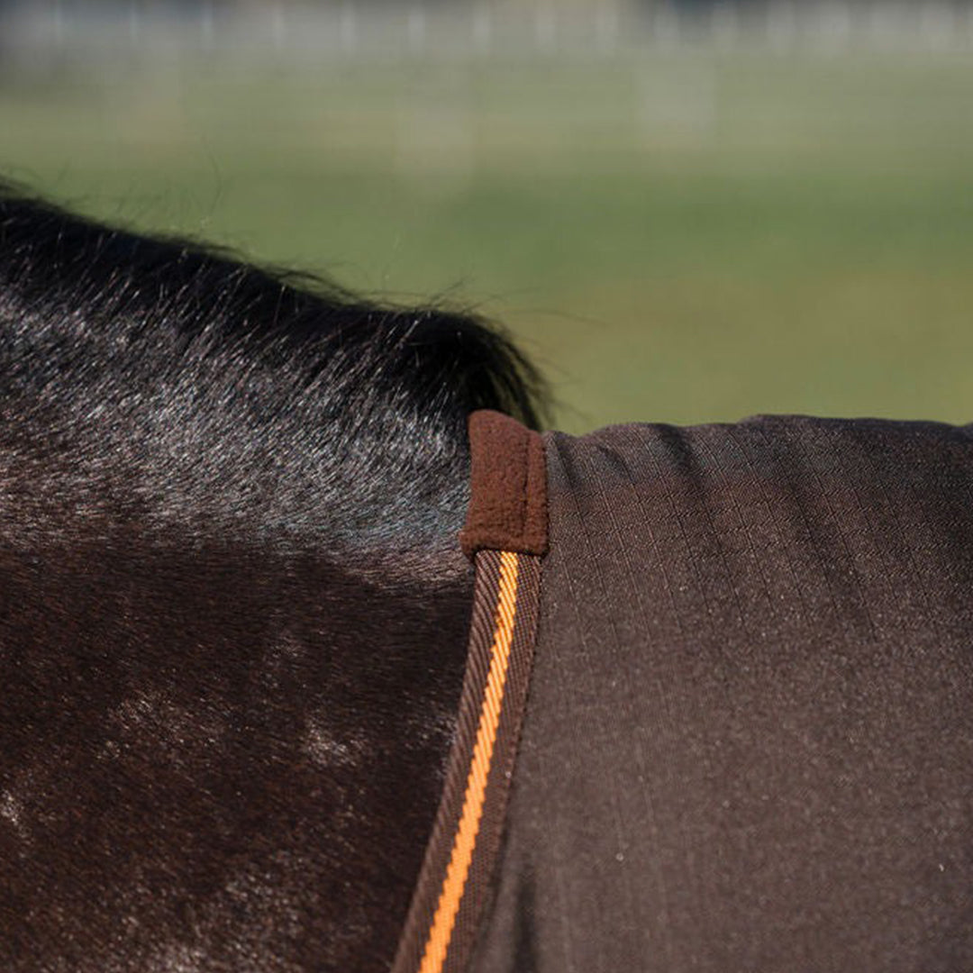 brown horse blanket
