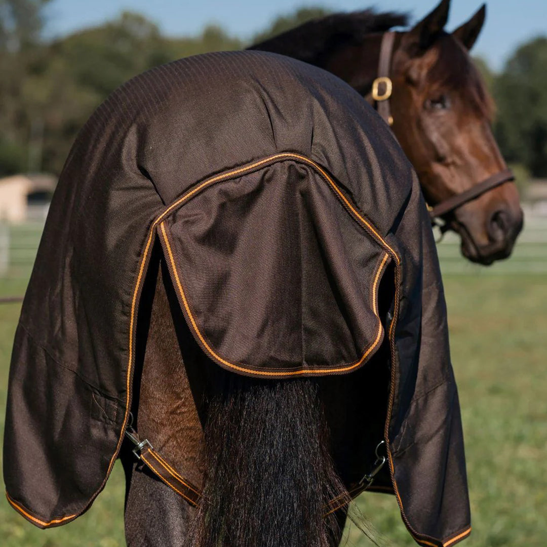 brown horse blanket