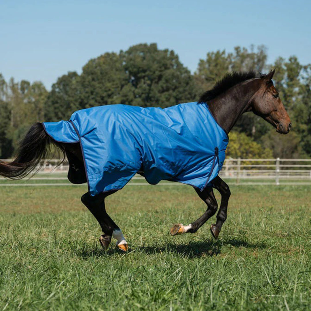 blue horse blanket