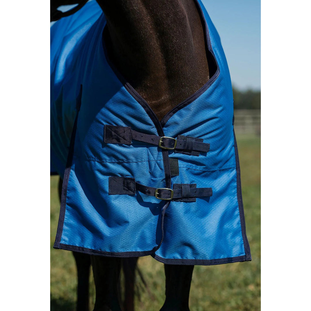 blue horse blanket
