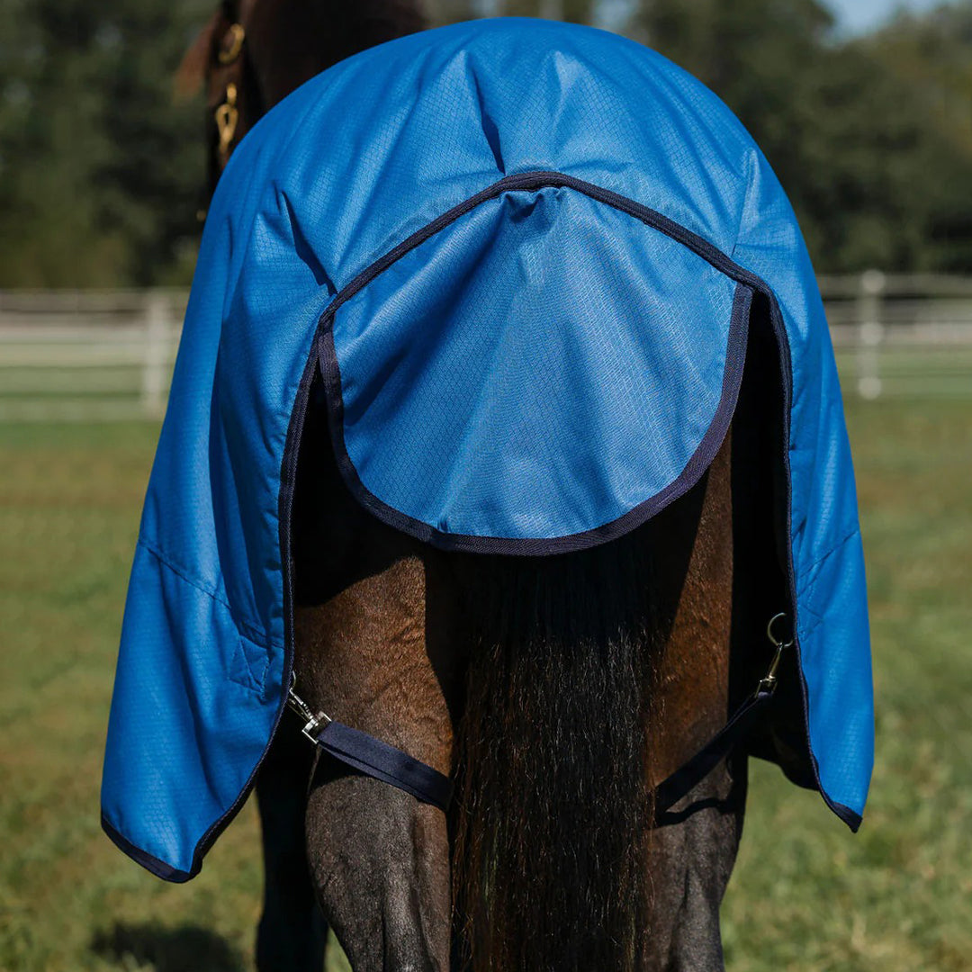 blue horse blanket
