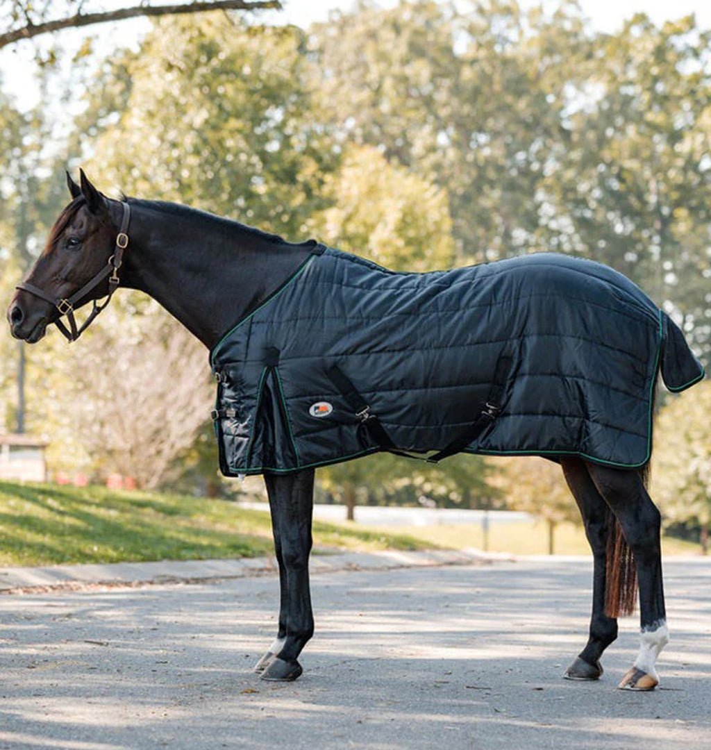 Horse wearing a dark green quilted blanket standing on a path with trees in the background