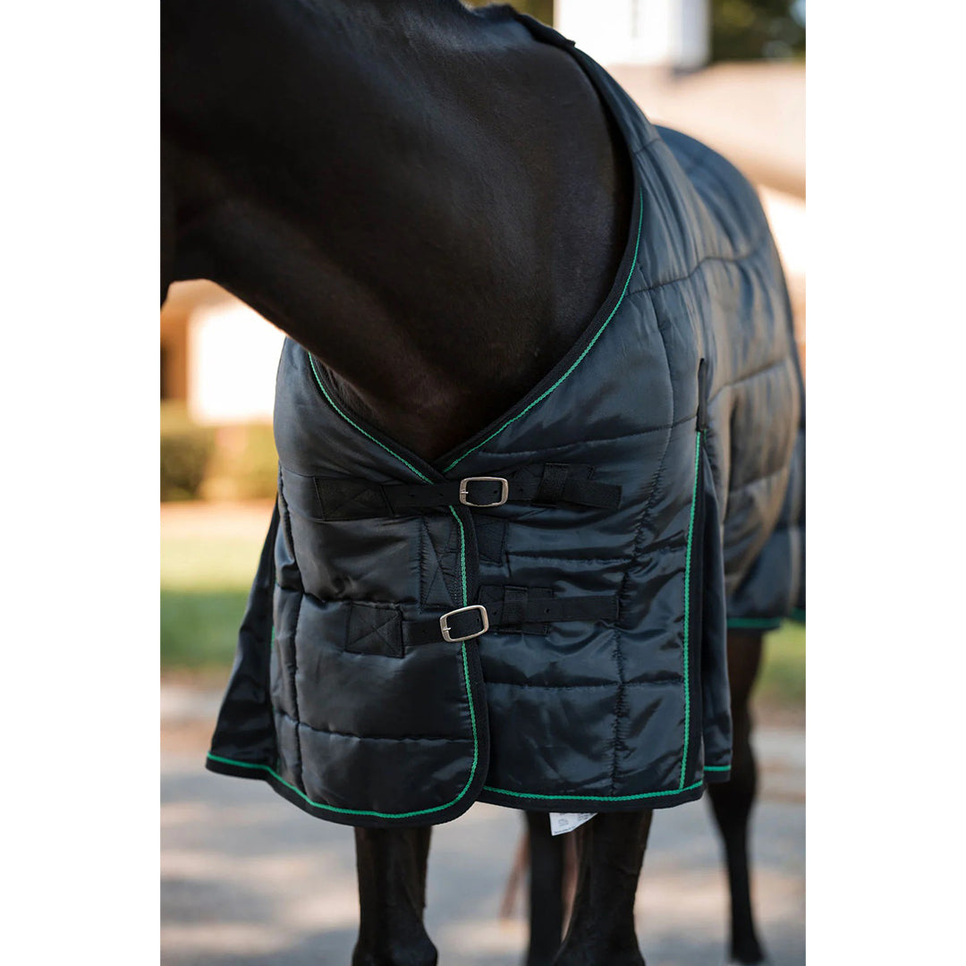 Horse wearing a black quilted blanket with green trim in an outdoor setting