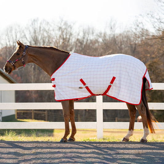 white turnout sheet with red trim