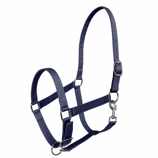 Navy blue horse halter 