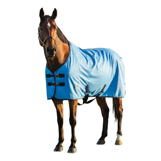 horse with blue fly sheet