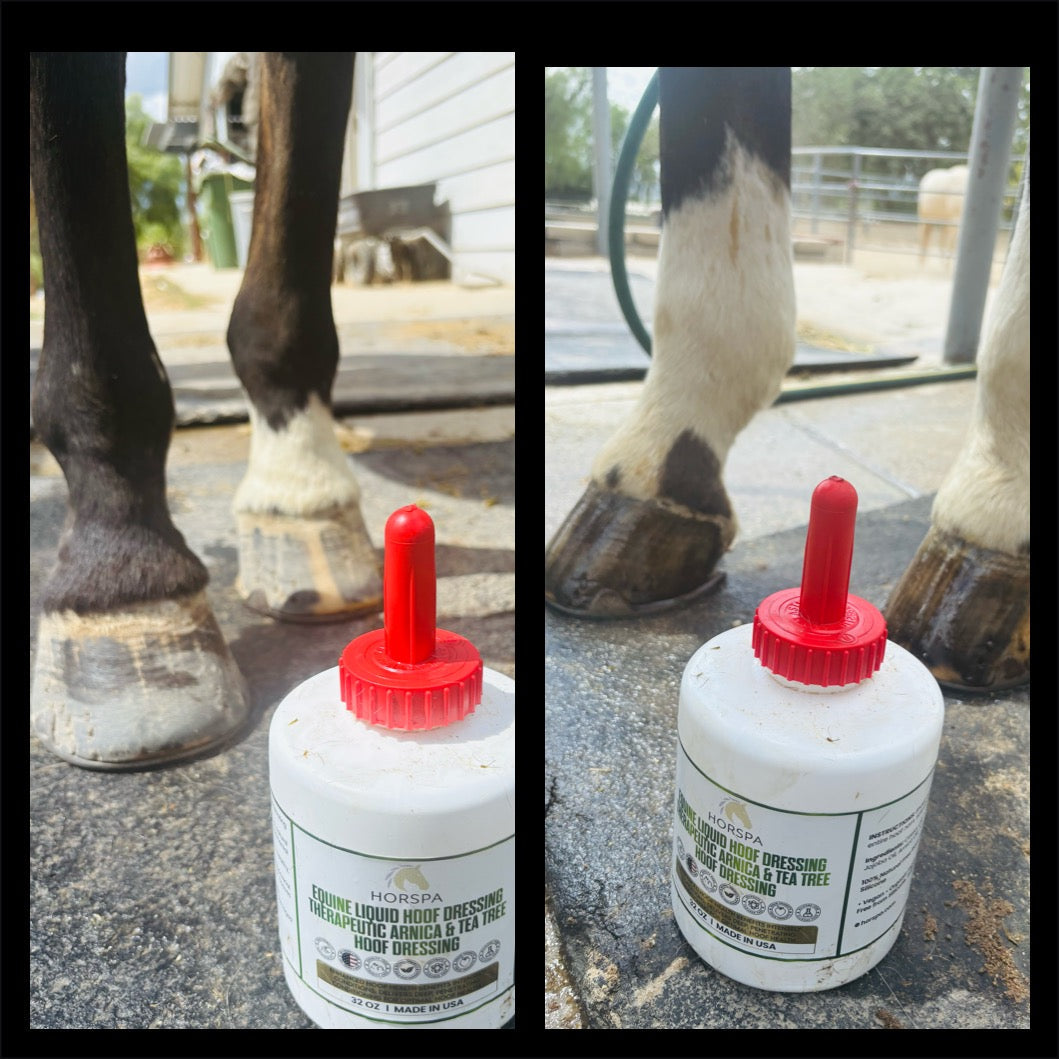 Horspaplus liquid hoof dressing bottle with horse hooves in the background