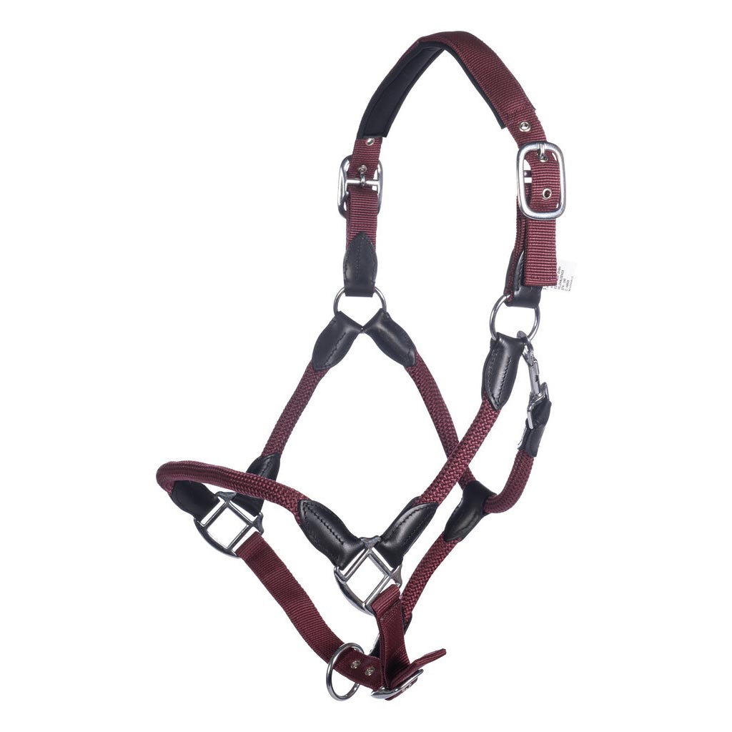 horse halter