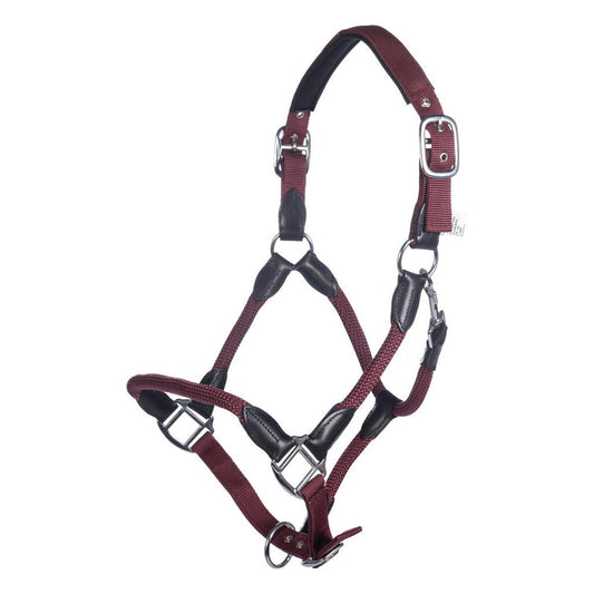 horse halter