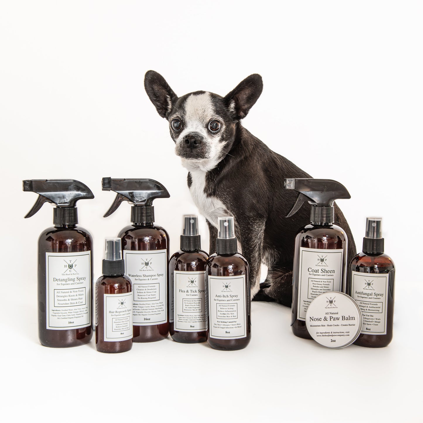 Dog surrounded by various pet care products on a white background