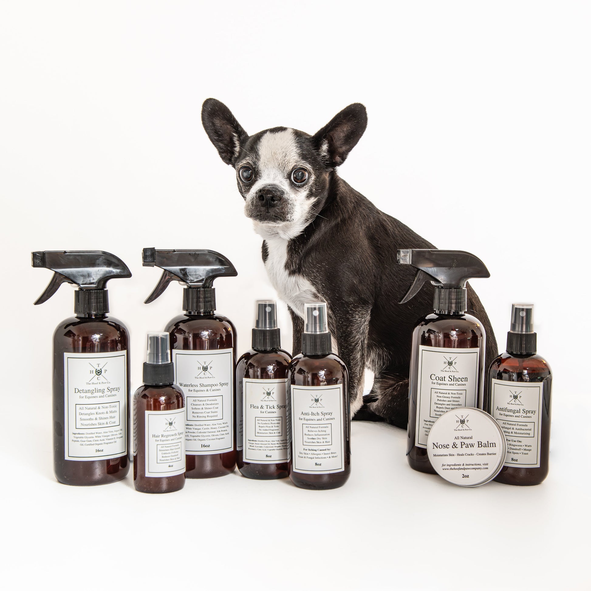 Dog surrounded by various pet care products on a white background