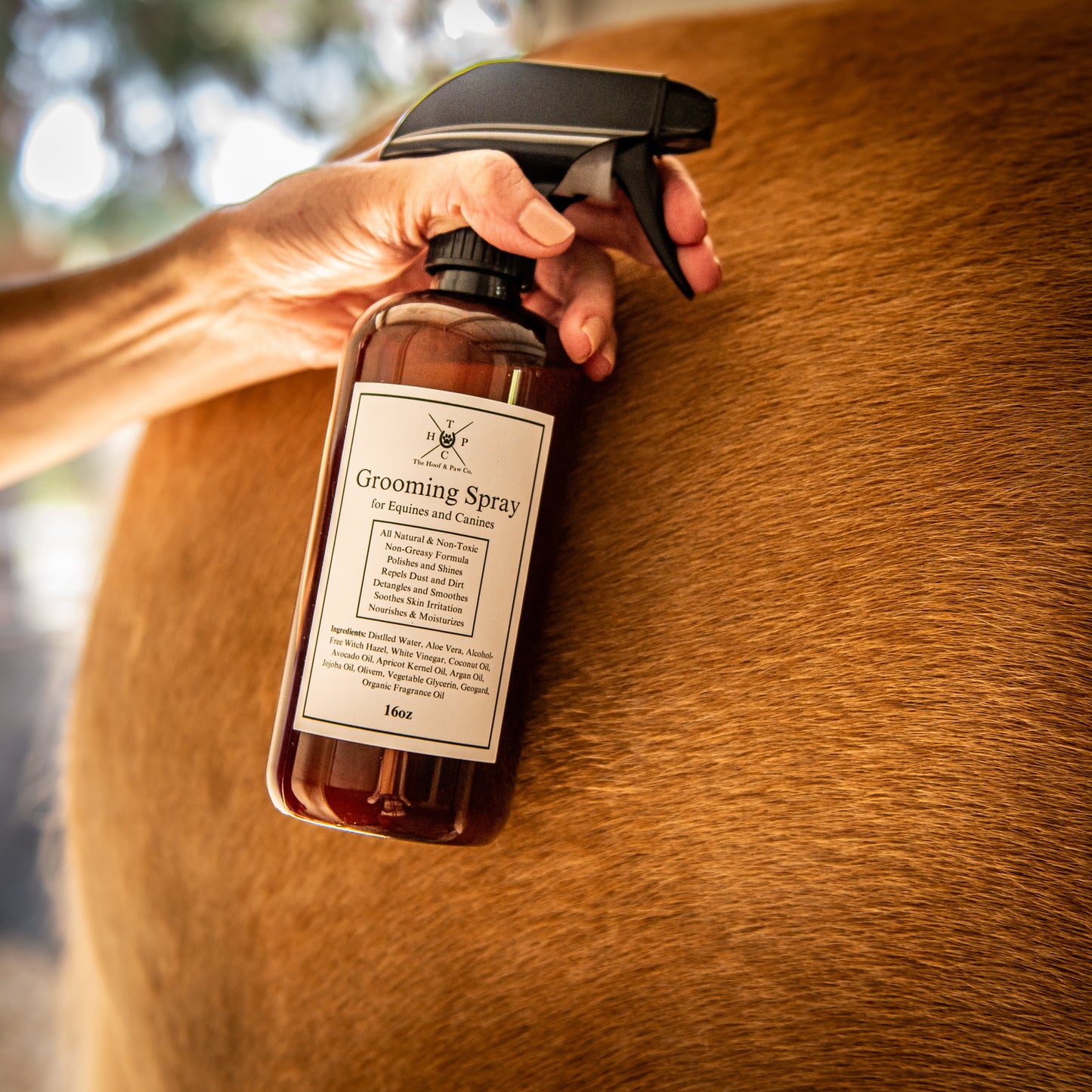 grooming spray for horses