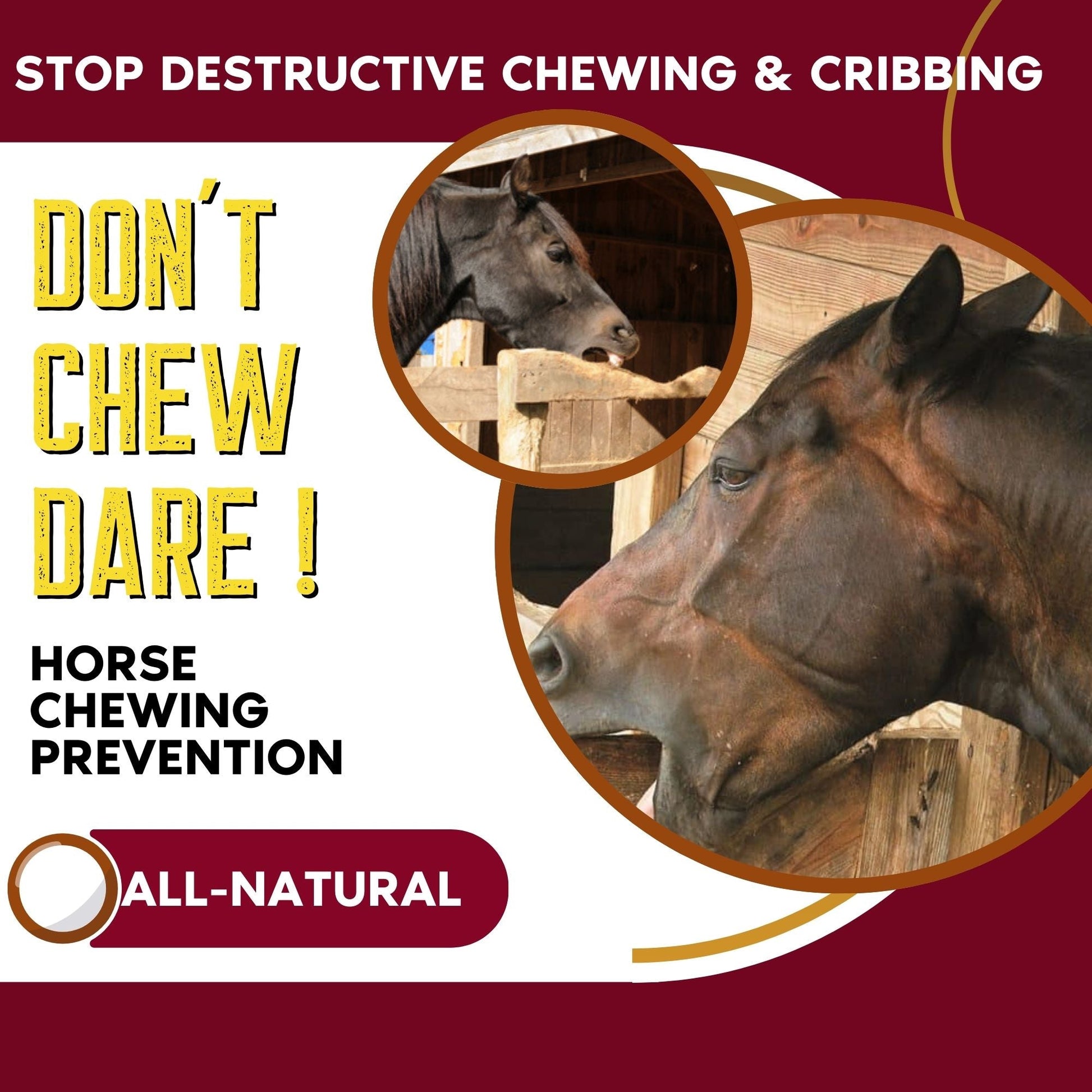 Horse chewing prevention product advertisement with horses and text on a red background