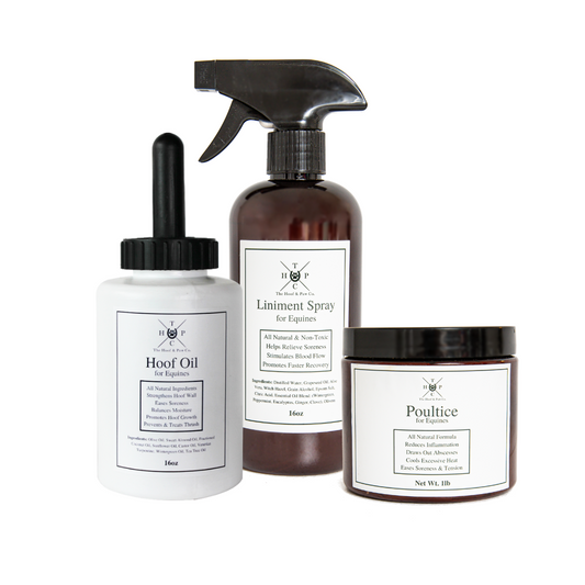 horse grooming products