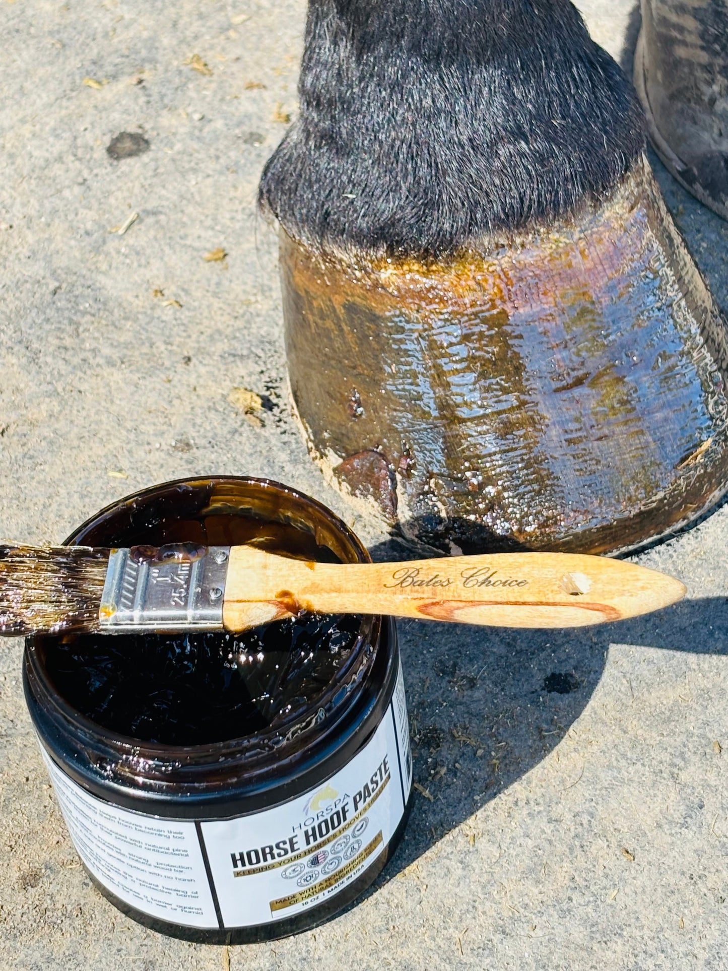 Horspa Hoof Paste with applicator