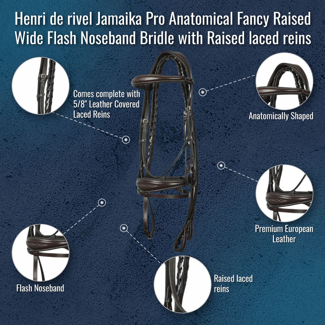 Henri de Rivel Jamaika Pro Fancy Raised Wide Flash Noseband Bridle