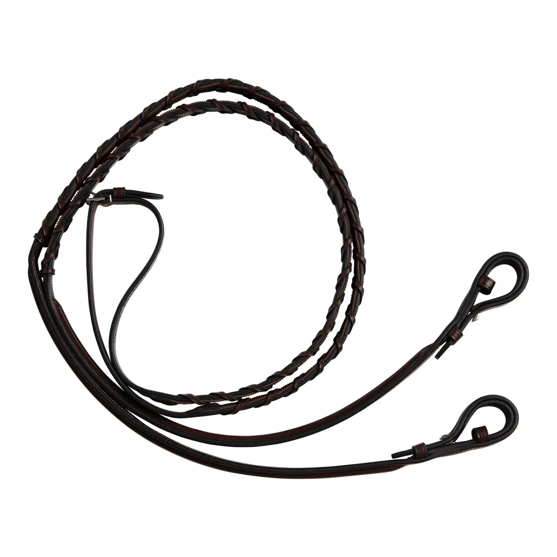 brown leather reins