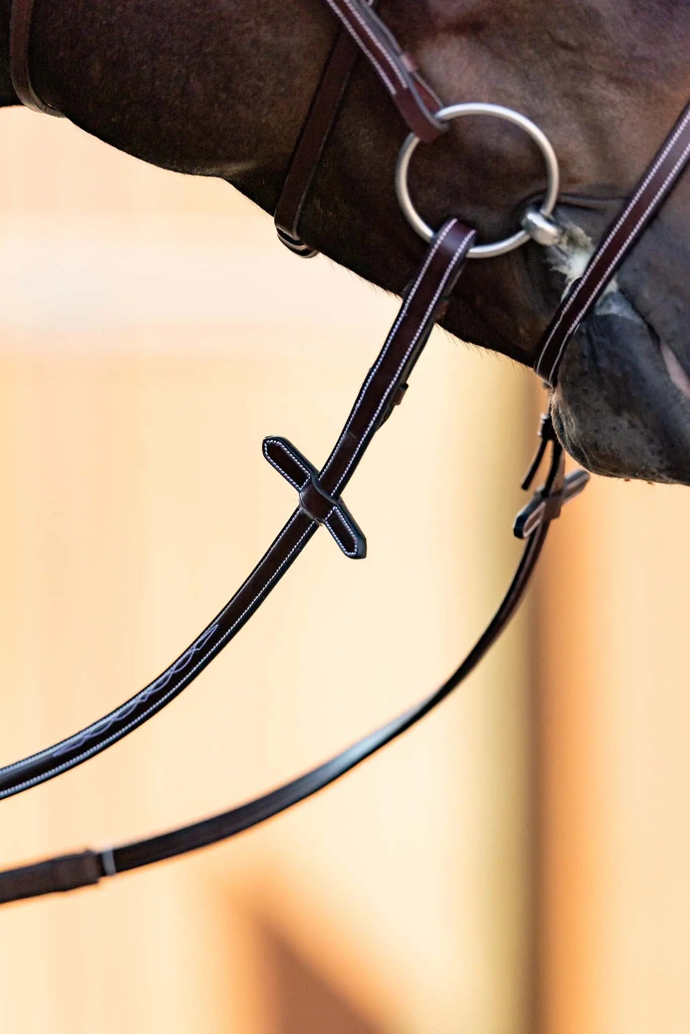 brown horse reins