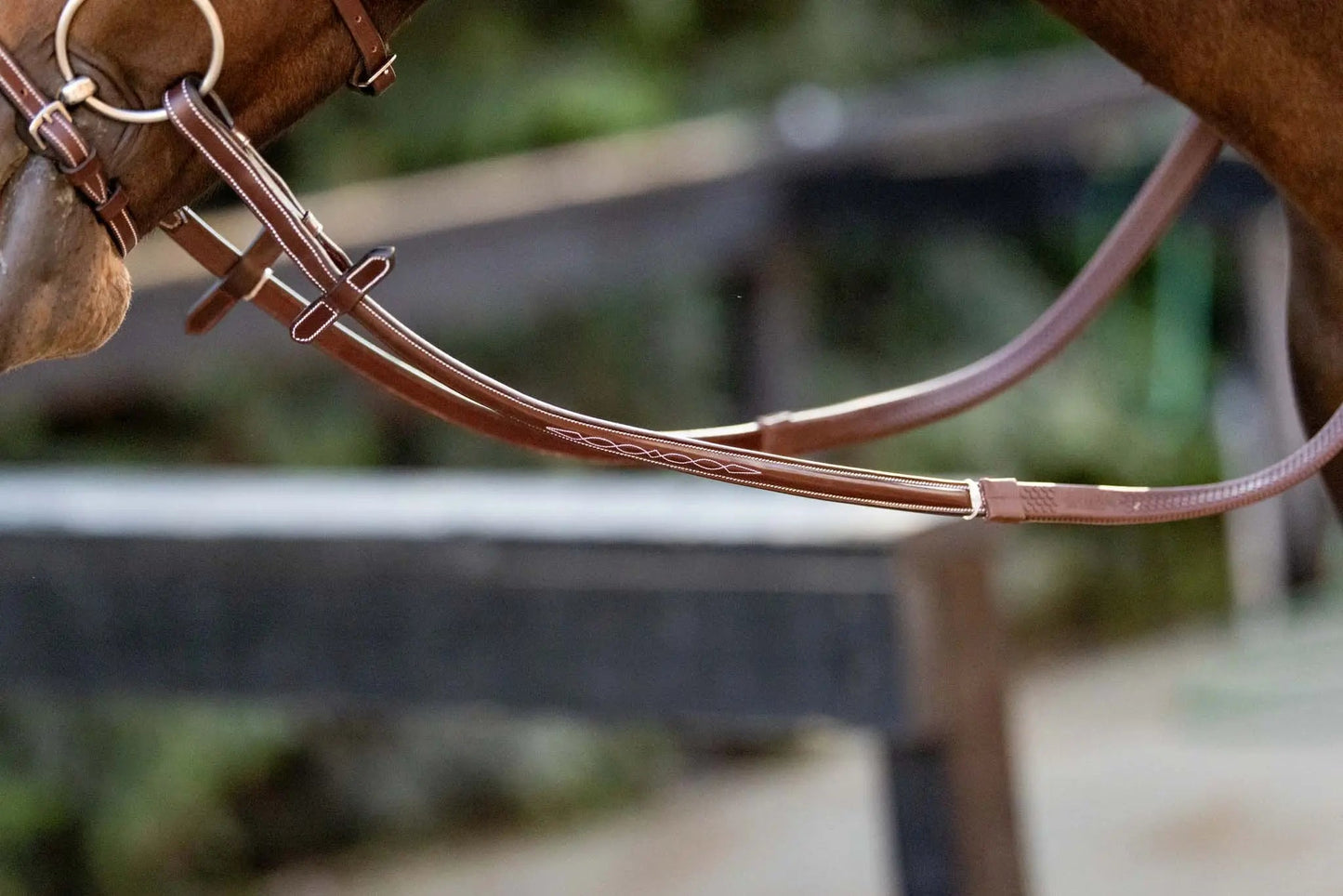 brown horse reins