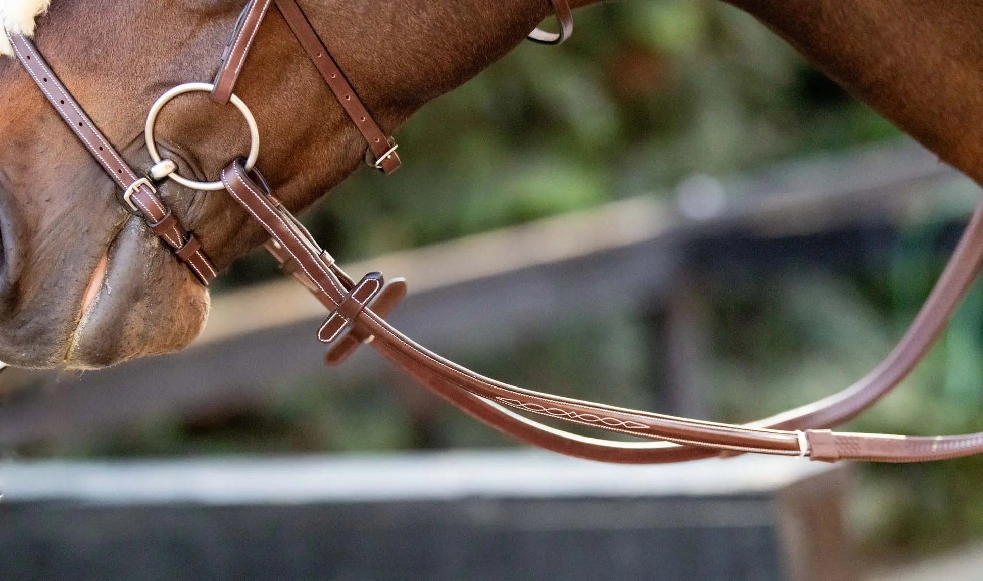 brown horse reins