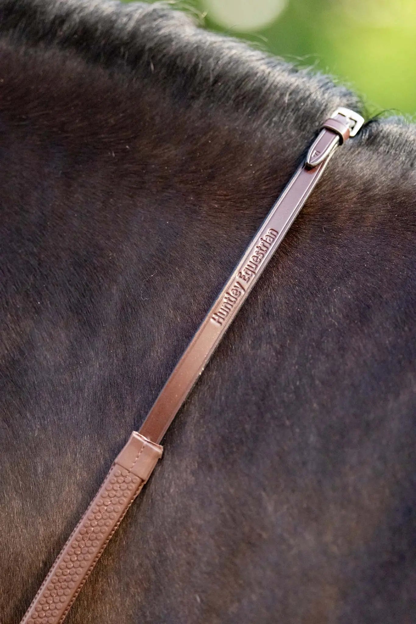 brown horse reins