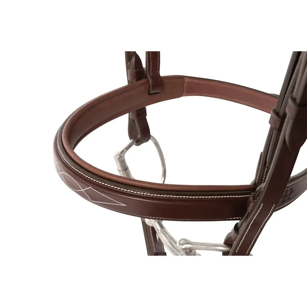 Brown leather bridle 