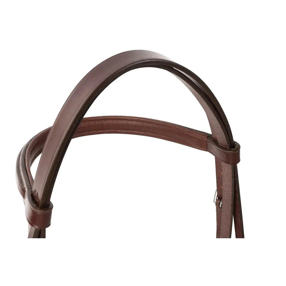 Brown leather bridle 