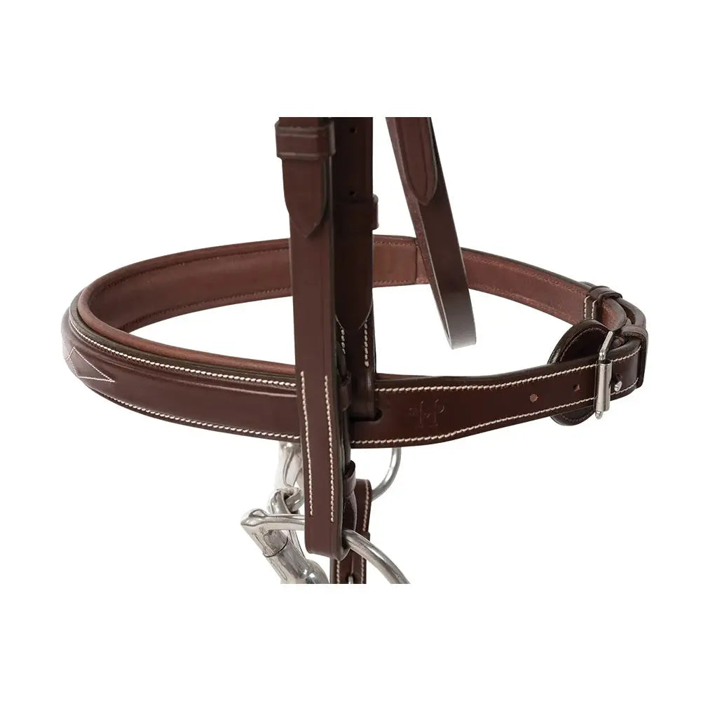 Huntley Equestrian Fancy Stitched Sedgwick Leather Padded Bridle