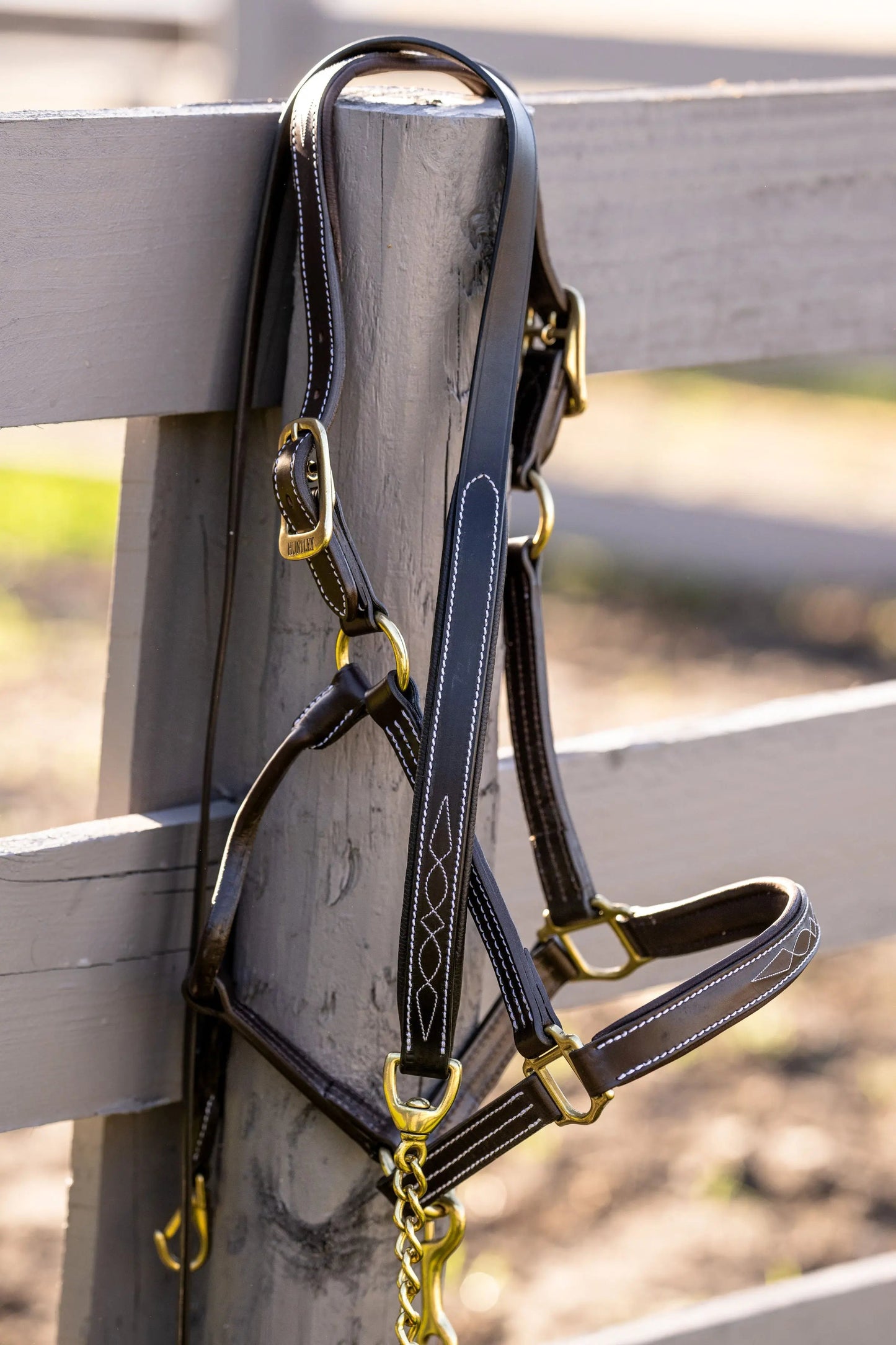 brown horse lead with gold chain
