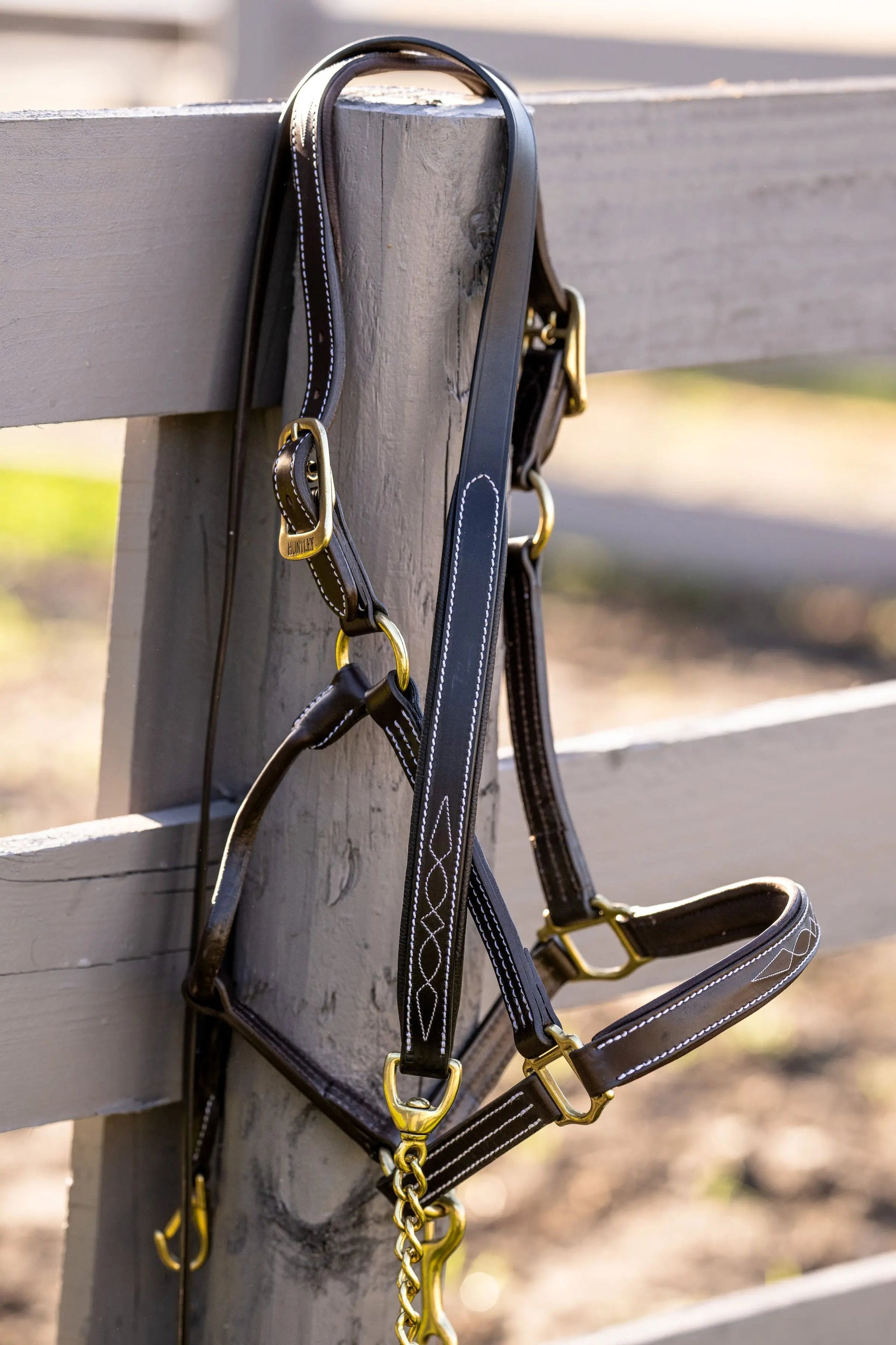 brown horse lead with gold chain