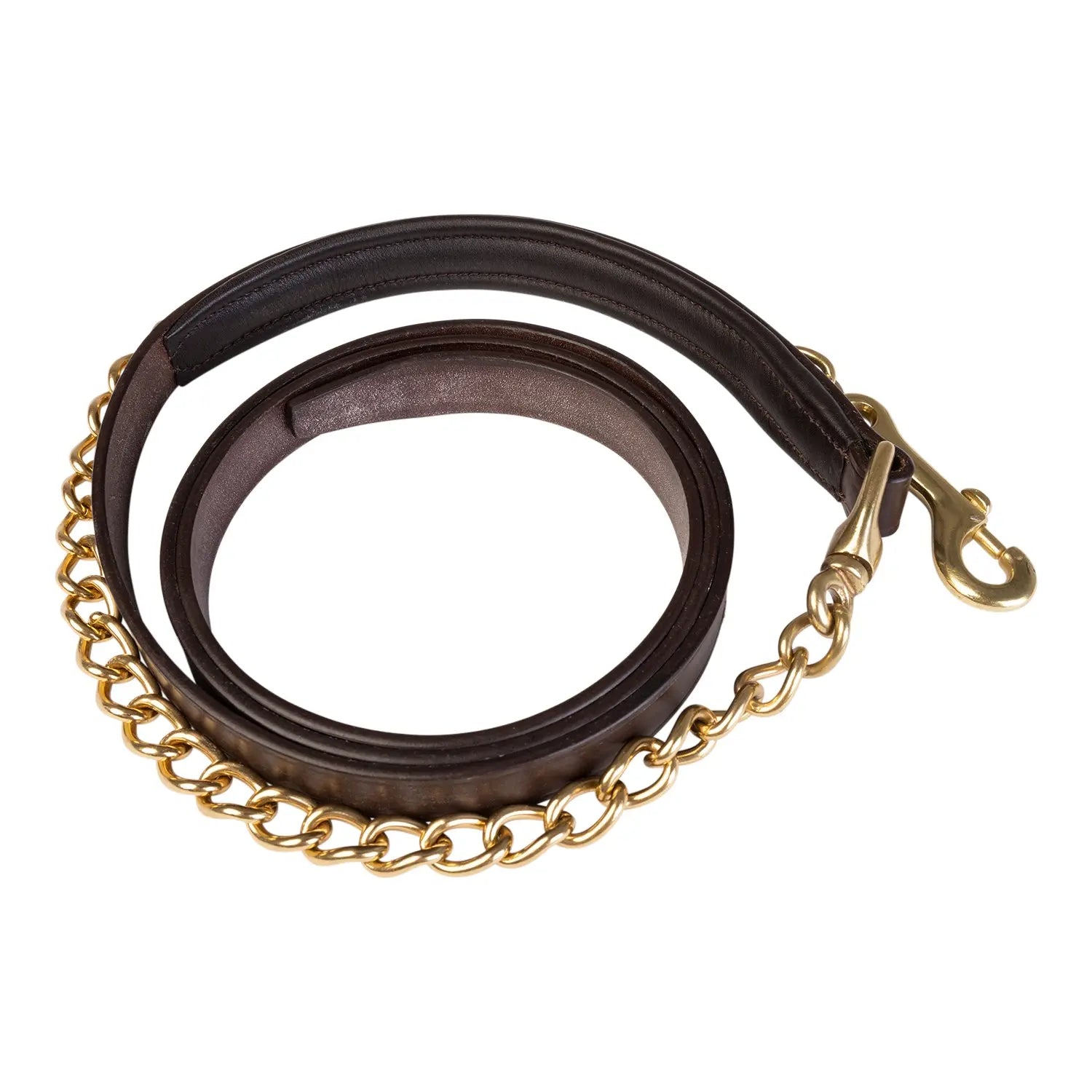 brown horse lead with gold chain