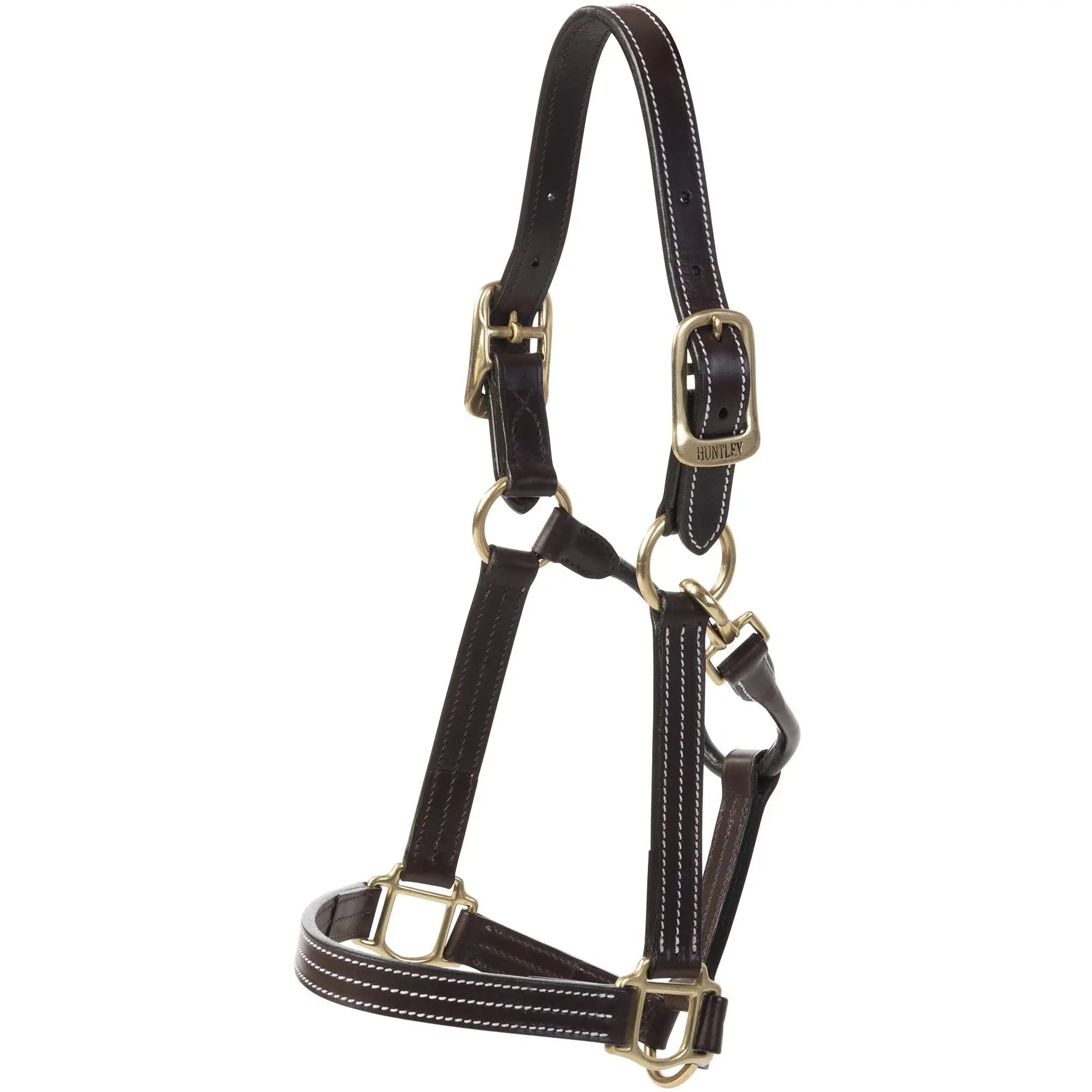 brown horse halter