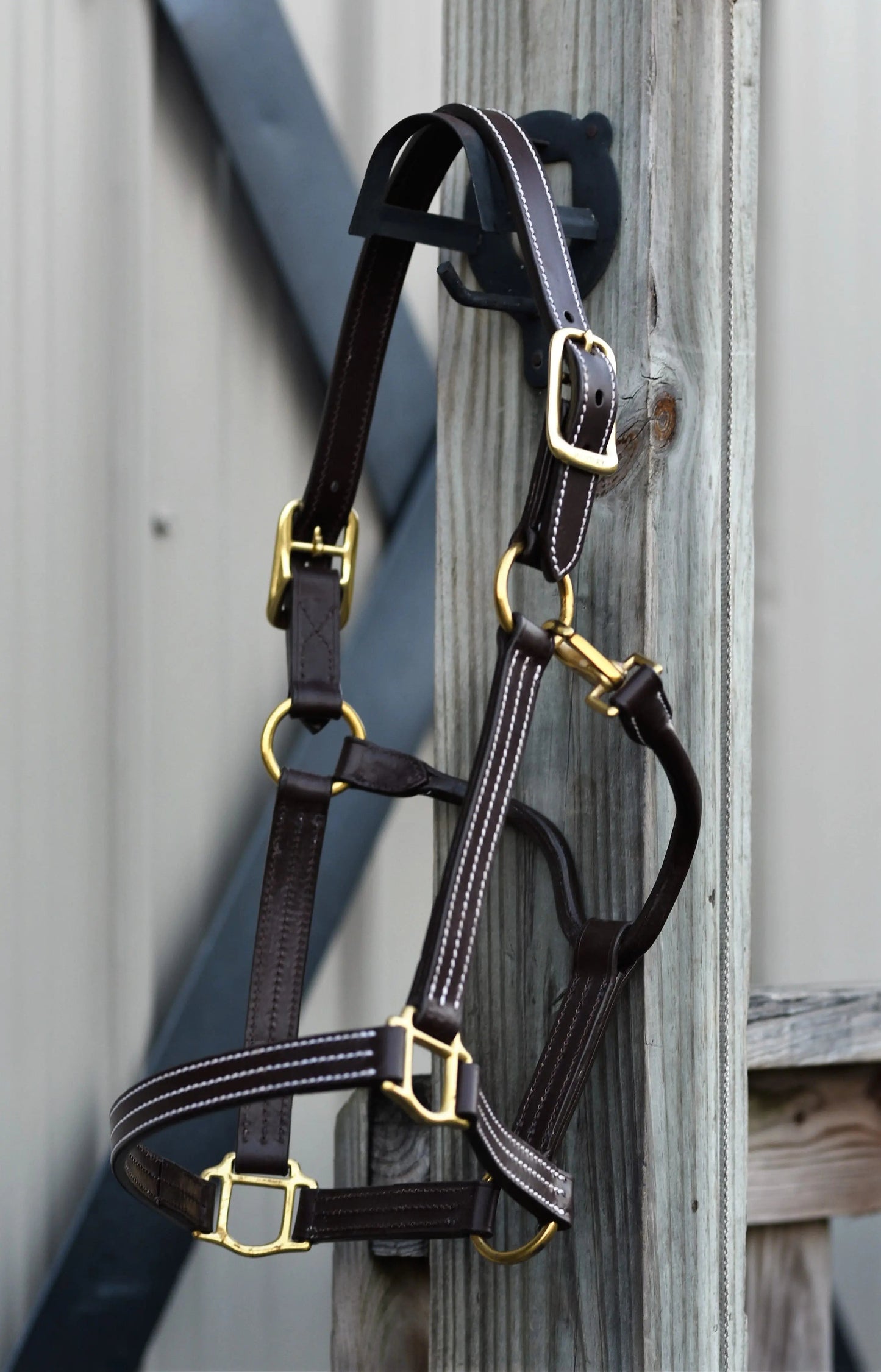 brown horse halter