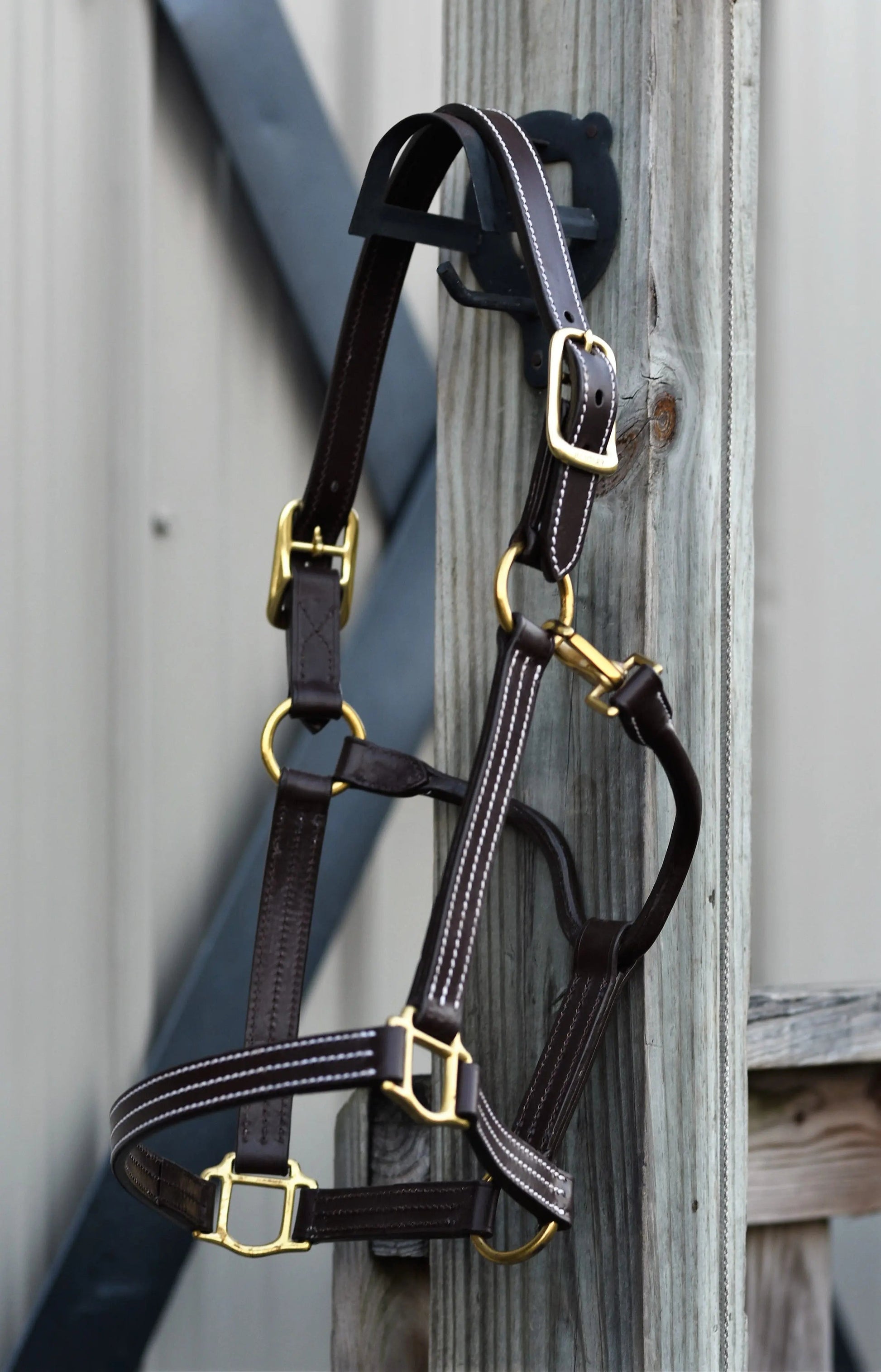 brown horse halter