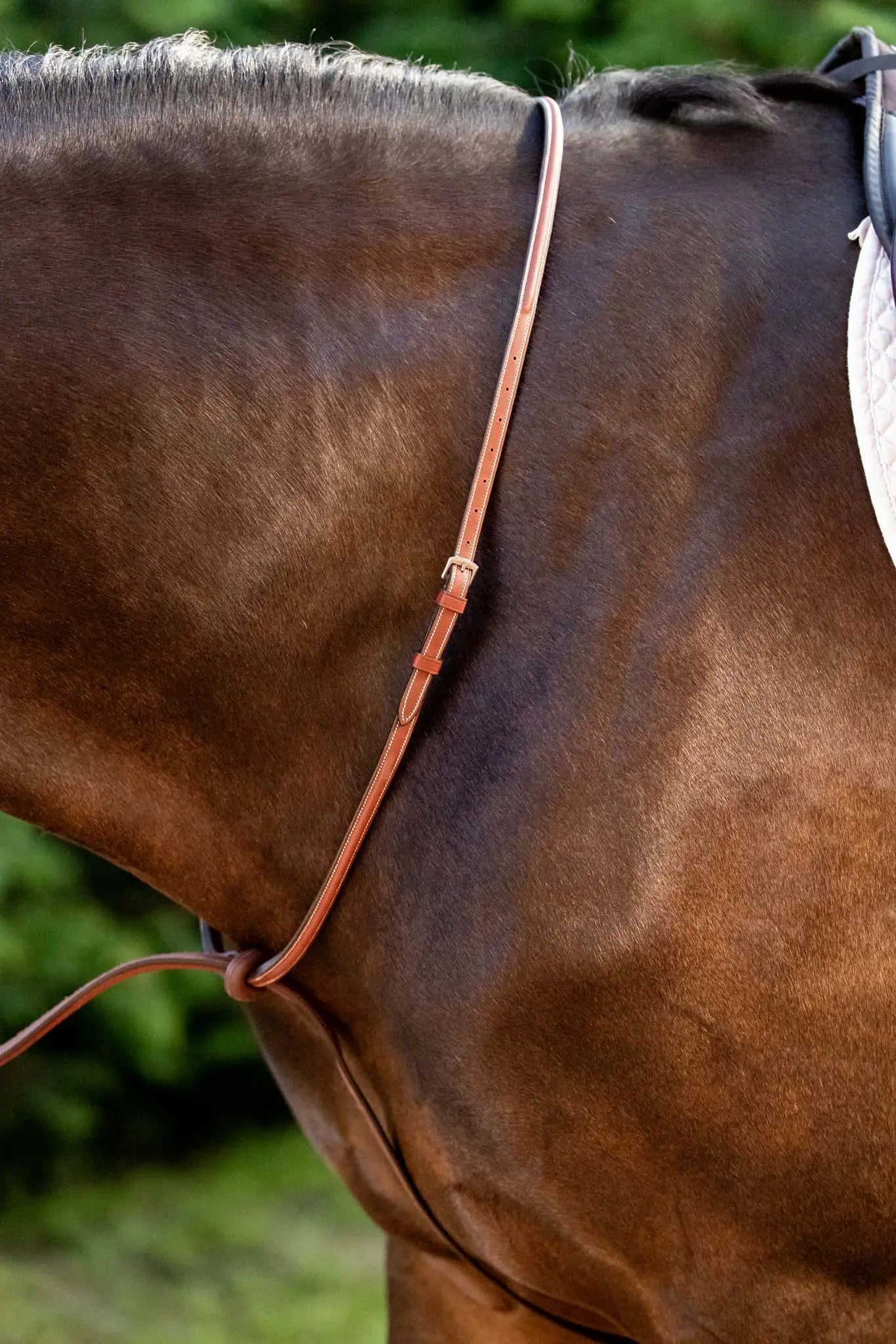 brown martingale