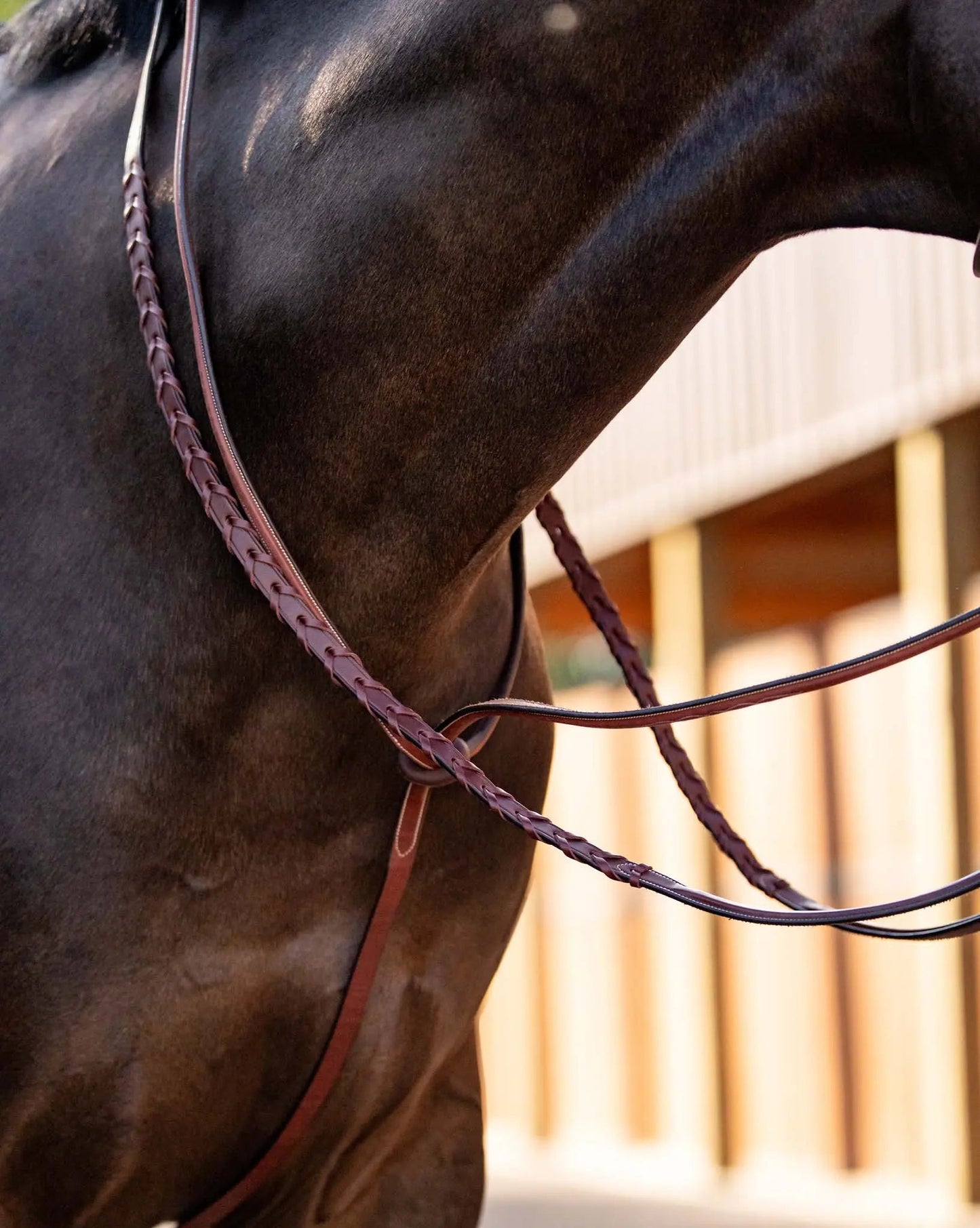 brown martingale