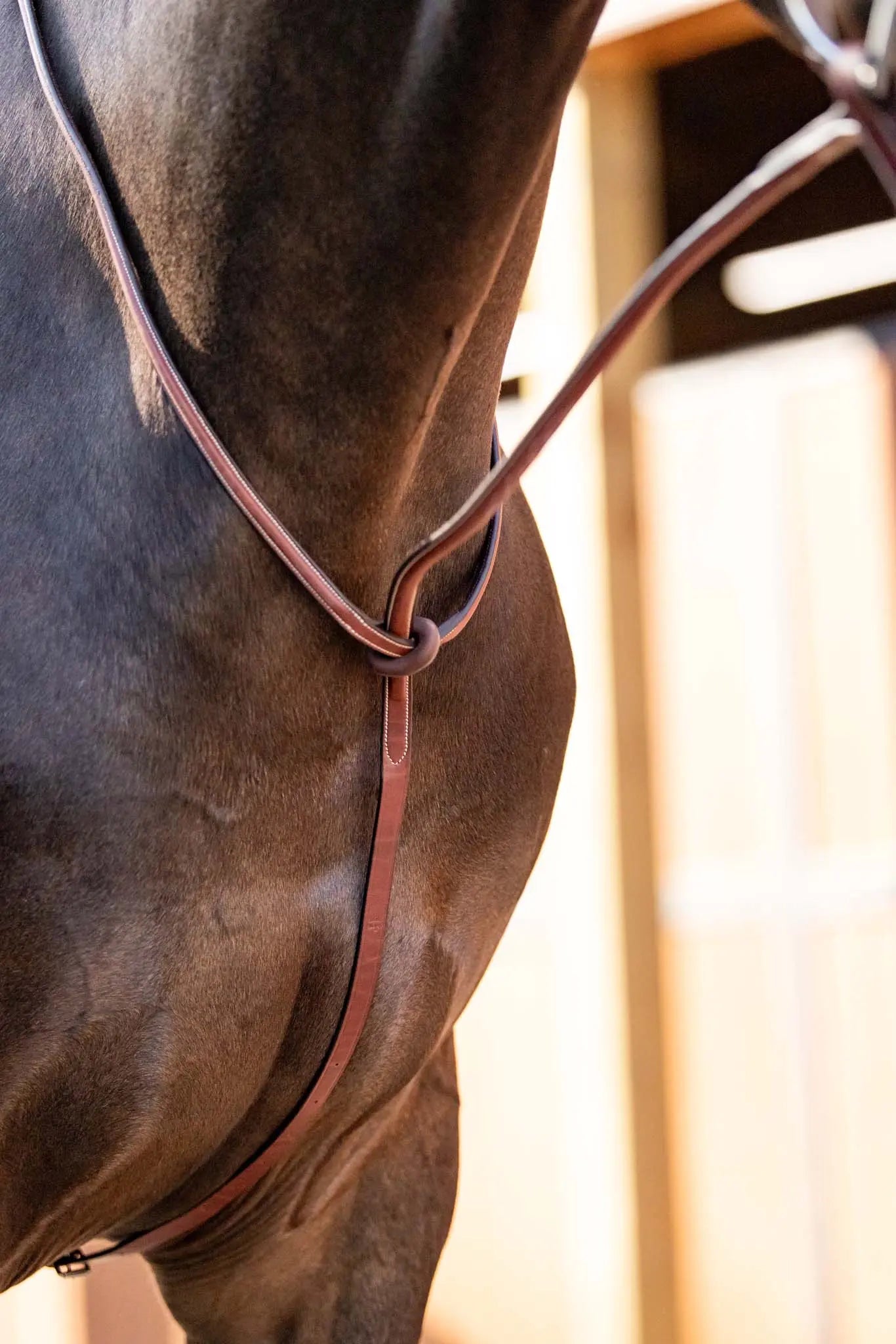 brown martingale