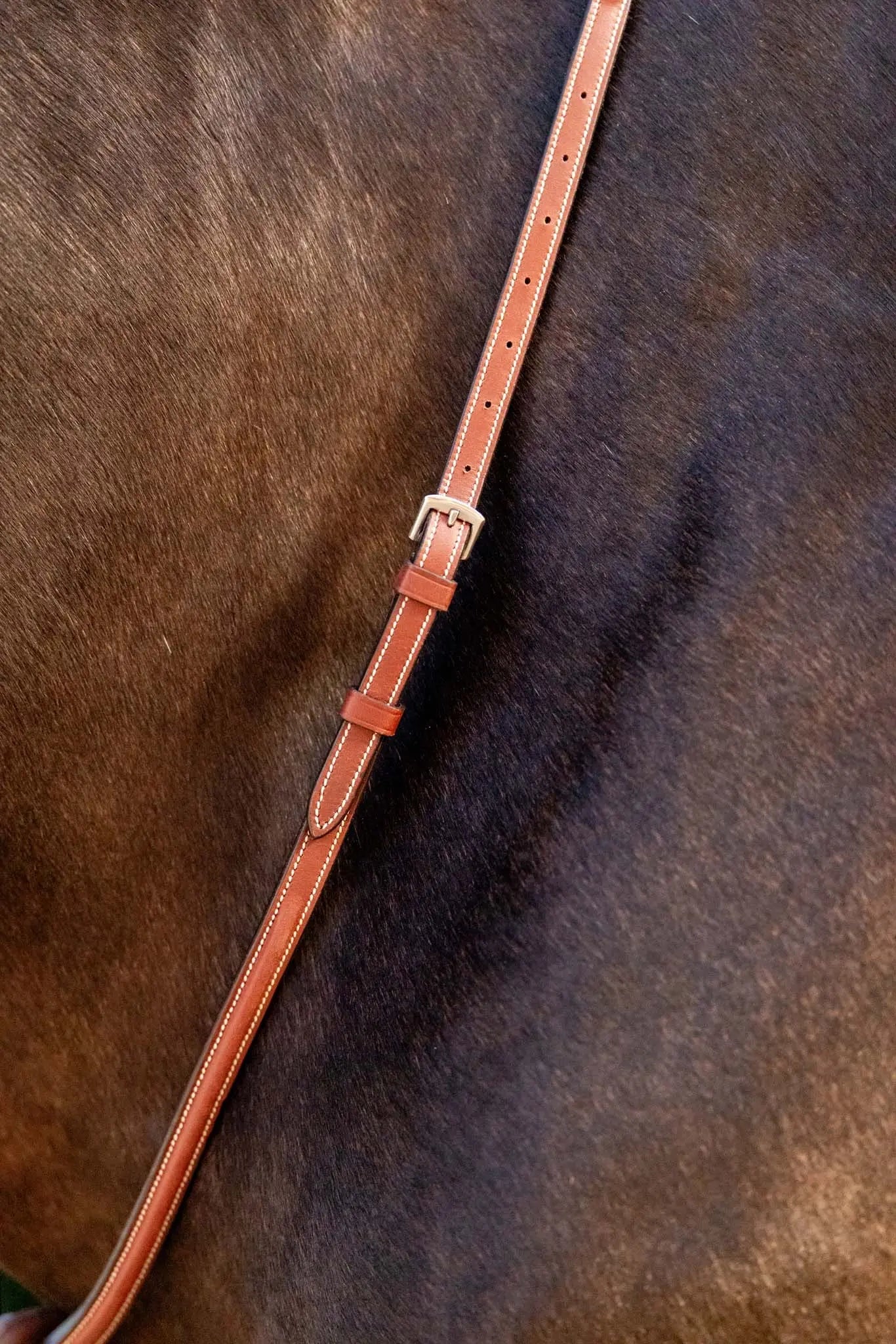 brown martingale